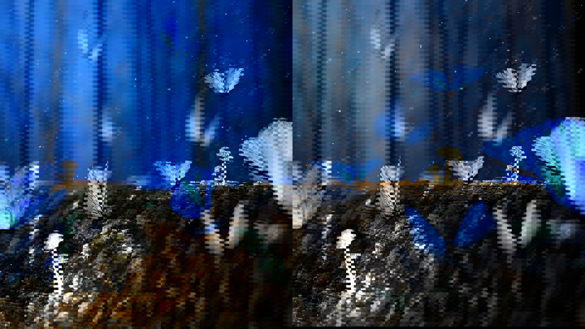 Når det verste skjer